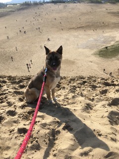 20190502_224428339_iOS.jpg